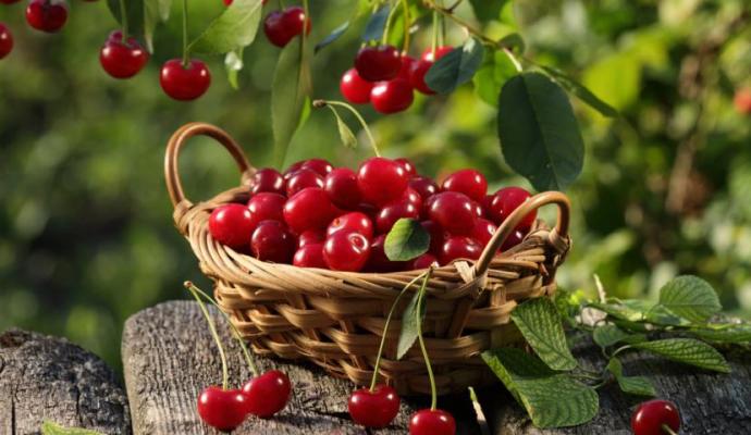 Frozen cherries: calorie content, rules and recipes