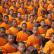 בודהיזם: יסודות הדת, כמה בודהיסטים יש בעולם